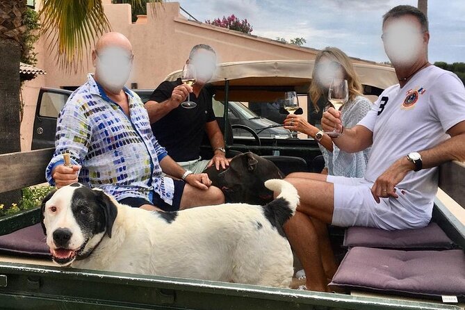 4x4 tour in a winery followed by a tasting - Domaine de la Sanglière: a short Provençal wine safari