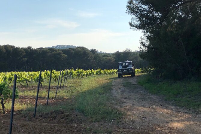 4x4 tour in a winery followed by a tasting - Estate wine tasting with Provencal snacks, bread, and easy conversation