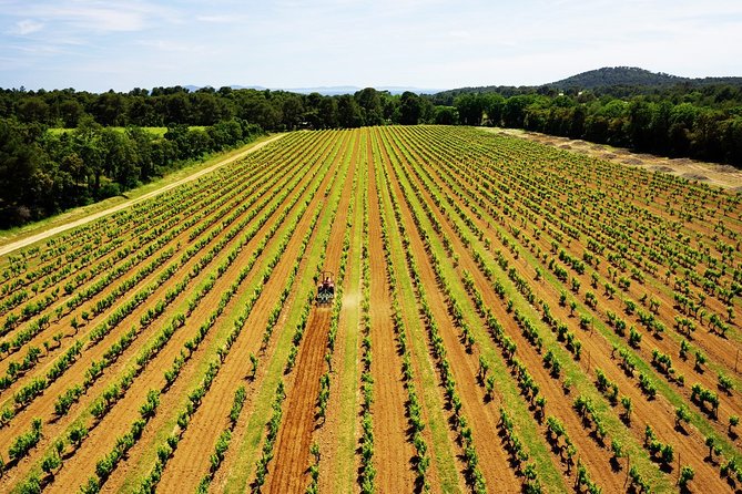 4x4 tour in a winery followed by a tasting - Price and value: why $30.04 can work here