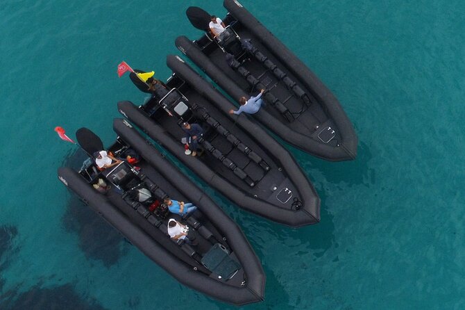 Boat Excursion - Nice/St Jean Cap Ferrat 1H30 - La Fossette swim and snorkeling stop: how to plan your water time