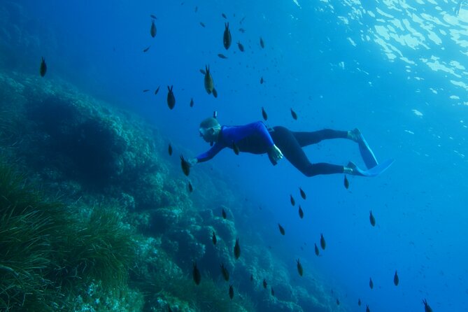 Boat trip and snorkeling in Villefranche - sur - Mer - From Nice harbor to Cape sites: how the timing feels
