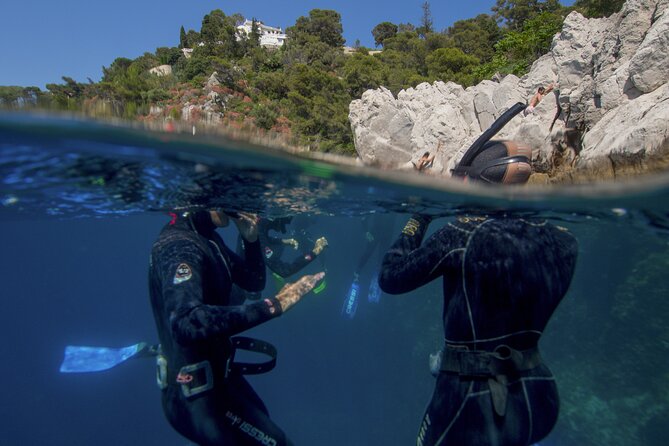 Boat trip and snorkeling in Villefranche - sur - Mer - What the snorkeling actually looks like in this area