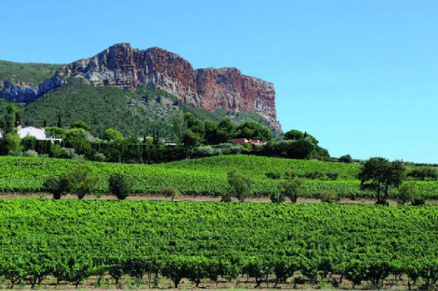 Calanques of Cassis, Aix-en-Provence & Wine Tasting Day Tour - Key Points That Make This Day Tour Worth Your Attention