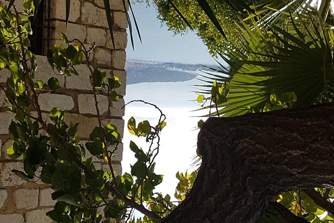 CANNES Shore Excursion: French Riviera Highlights with your Guide - Stop 4, Port de Monaco: Monte Carlo casino views without the full detour