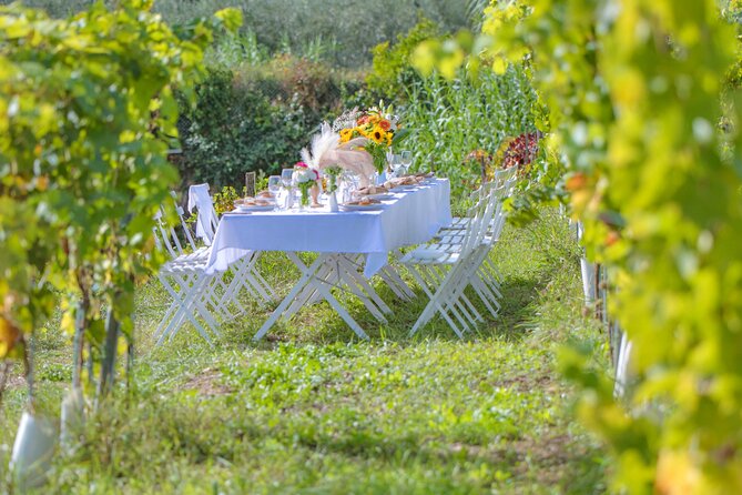 Dinner in the Vineyard French Riviera - Music, Art, and Chef Shows: What’s Conditional vs What’s Core