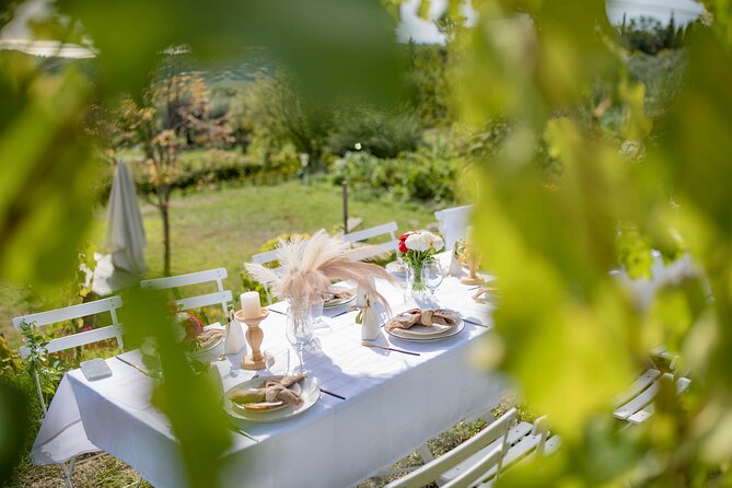 Dinner in the Vineyard French Riviera - Price and Value: Is $268.91 Per Person Fair for This Setup?