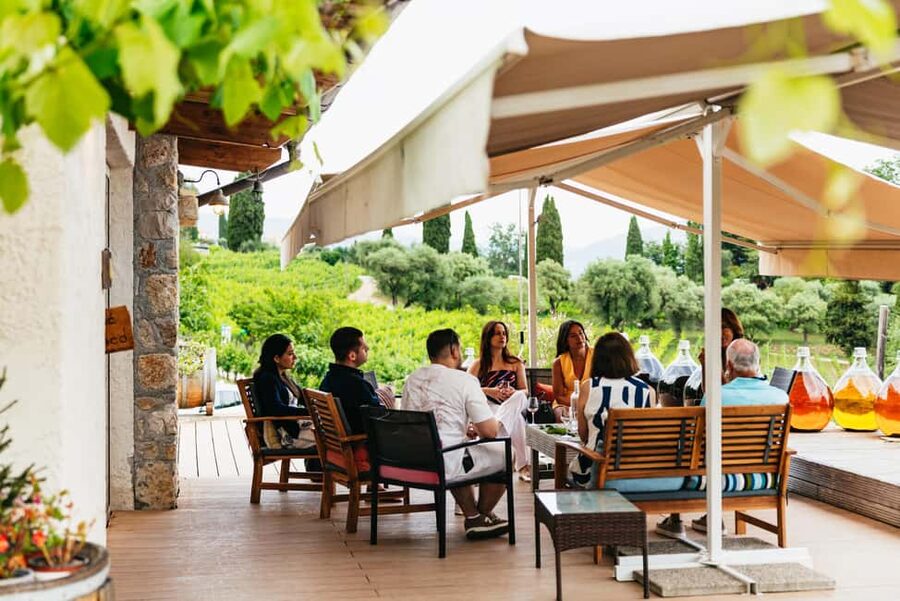 Dinner in the vineyard French Riviera - Choosing lunch or dinner, and what that changes