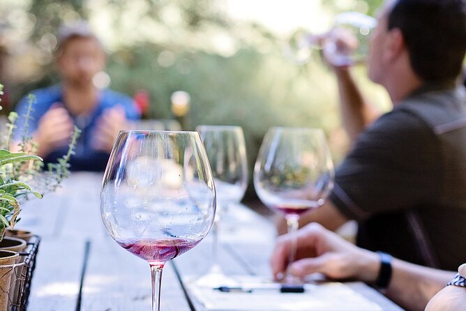 Food & Wine Lovers Tour of Nice Local Markets and Best Shops - Should you book this Food & Wine Lovers Tour of Nice?