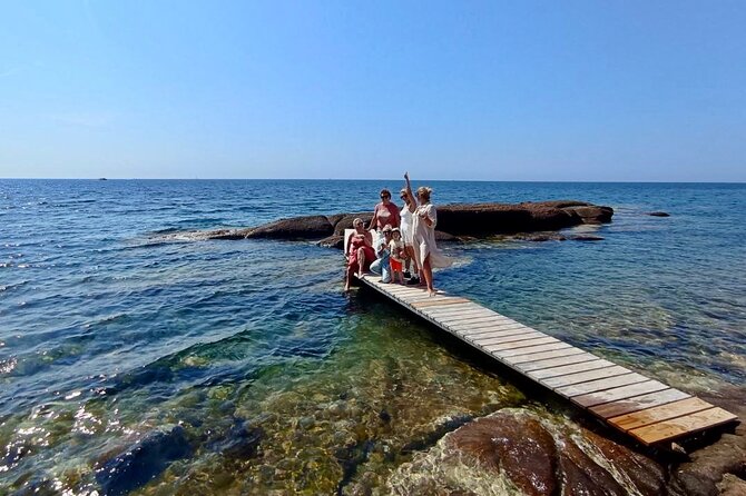 French Riviera Colorado & Var West by Train (from Cannes/Nice) - Why this train day feels special on the French Riviera