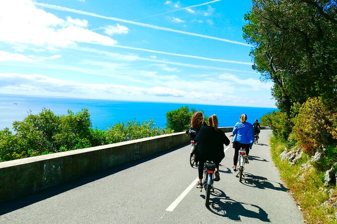 French Riviera Grand Panoramic E-Bike Tour - Mont-Boron Forest and Its Fort Walls Over Nice and Villefranche