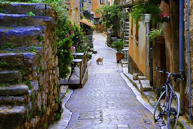 French Riviera & Medieval Villages Full-Day Private Tour - Morning in Grasse, the Perfume Capital, and Fragonard