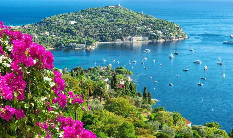 From Nice: Eze, Monaco and Monte Carlo Half Day Tour - Pace, Comfort, and What You Should Plan For
