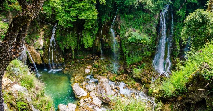 From Nice: Flower Fields & Saint Cassien Lake Full-Day Trip - Price and logistics: is $769 per group worth it?