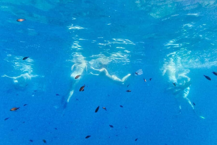 From Nice: French Riviera Swimming and Snorkeling Cruise - Who should book, and who should skip it