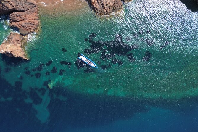 From Nice : Lerins Islands Boat Excursion with Snorkeling - Price and group size, and whether it is good value
