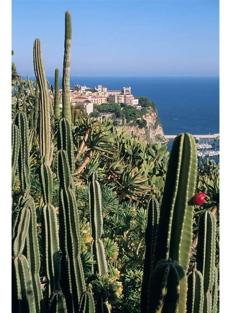 From Nice: Monaco, Monte Carlo & Eze Full-Day Tour - Key moments that make this tour worth your time