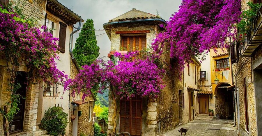 From Nice: Provence and its Medieval Villages Full-Day Tour - Key highlights worth your attention