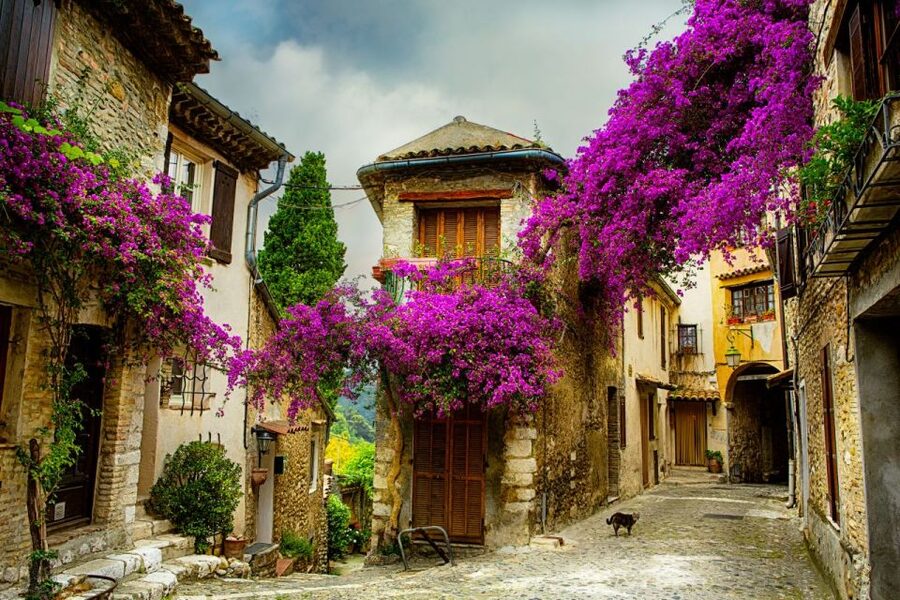 From Nice: Provence and its Medieval Villages Full-Day Tour - Why this Provence day trip starts in Grasse