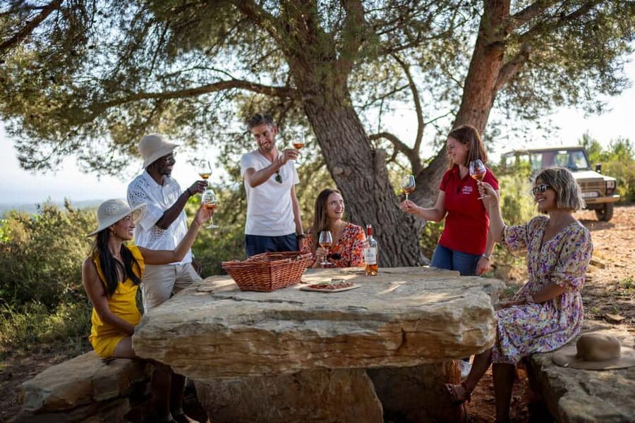 From Nice: Provence Wine Full-Day Tour - Your tasting mini-masterclass: learn the steps, then use them