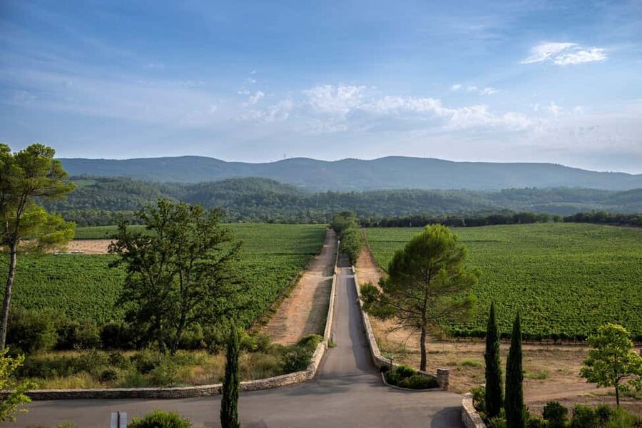 From Nice: Provence Wine Full-Day Tour - Stop 3: Organic wines, gardens and a cellar built for memories