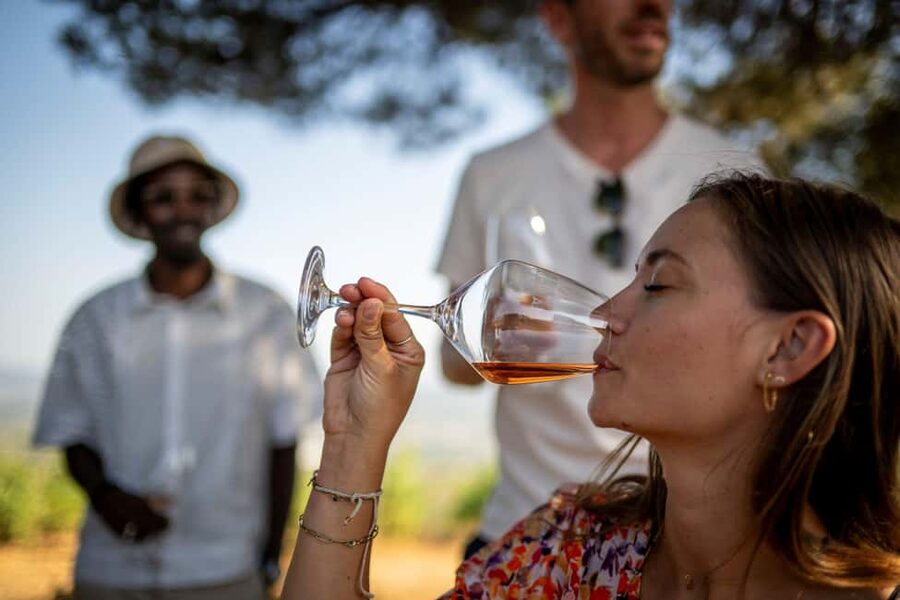 From Nice: Provence Wine Full-Day Tour - Price and value: why $211 can make sense here