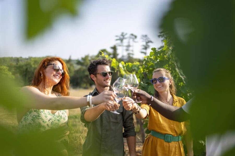 From Nice: Provence Wine Full-Day Tour - Who should book this tour, and who might not