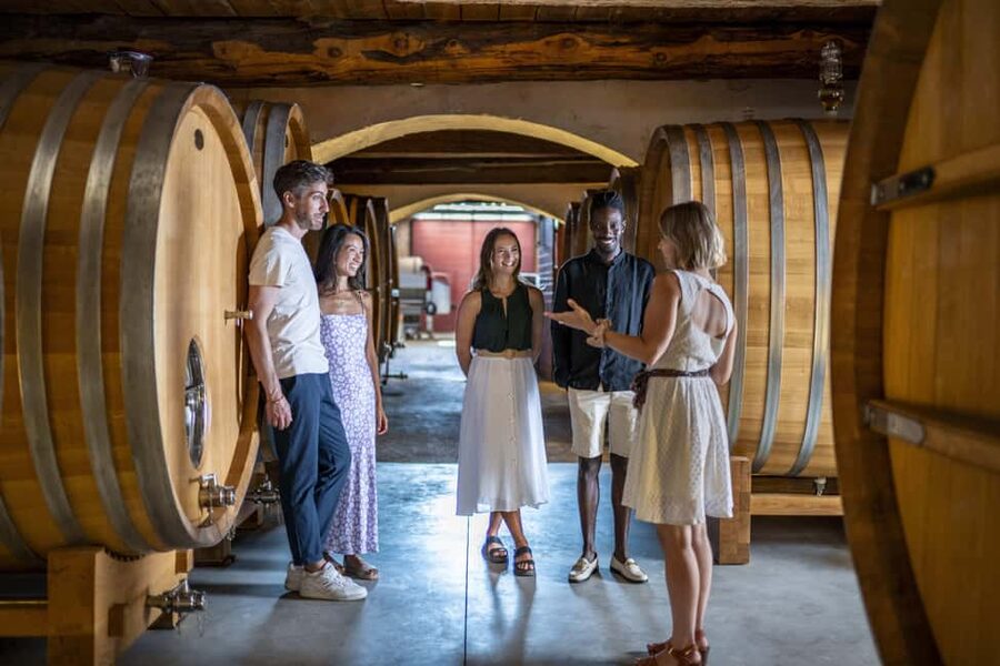 From Nice: Provence Wine Full-Day Tour - Stop 1: A Cru Classé château with cellar access and Art de Vivre