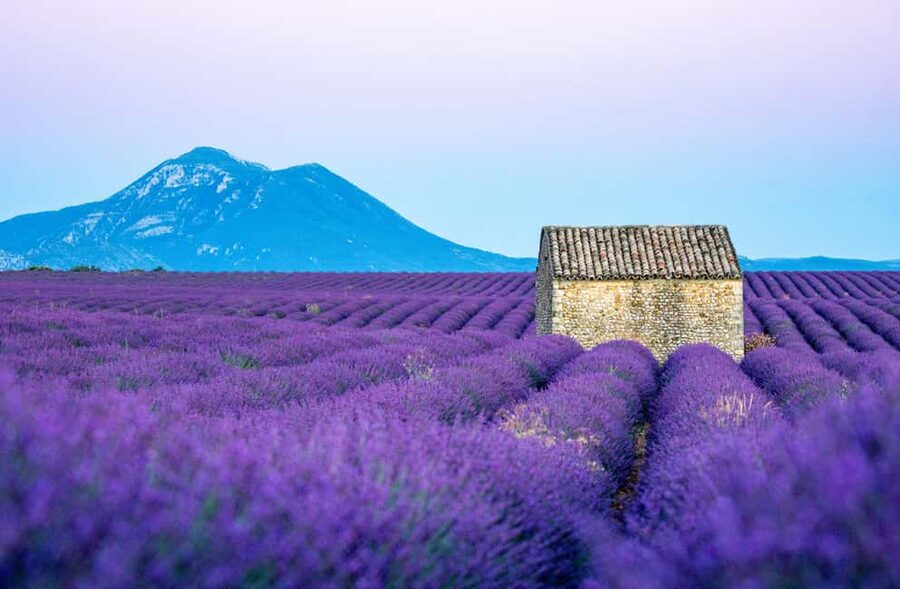 From Nice: Verdon Gorges & Lavender Fields Tour & Transport - Stop 1: Gorges du Loup, Waterfall Views, and a Quick Reset