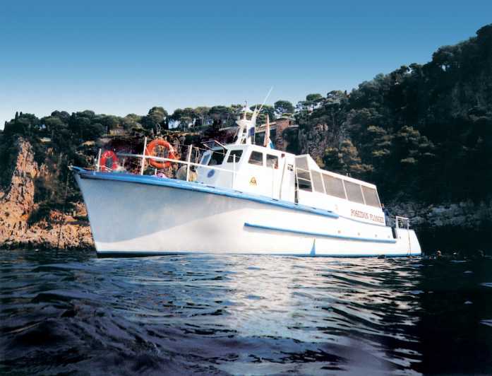 From Nice: Villefranche Bay Swimming & Snorkeling Boat Tour - Key Points I’d Prioritize Before You Go