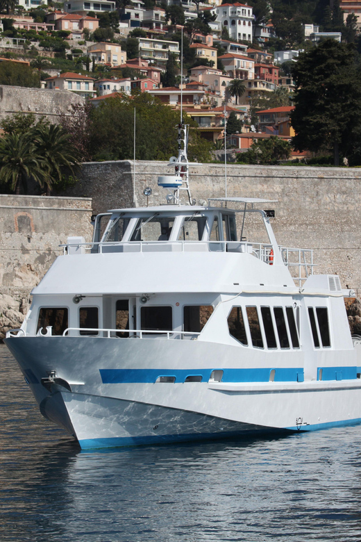 From Villefranche-sur-Mer: Guided Dolphin-Watching Tour - Who this tour fits best in your trip