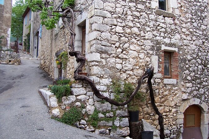 Full day Guided Tour: Cannes, Antibes, St Paul de Vence from Nice - Boulevard de la Croisette: the famous promenade, and what to look for while you walk