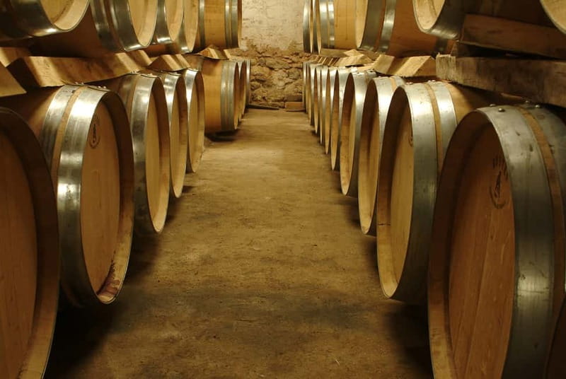 Full-Day Wine Tour in Bellet & Saint-Paul de Vence From Nice - Logistics That Matter: Timing, Weather, and Your Body
