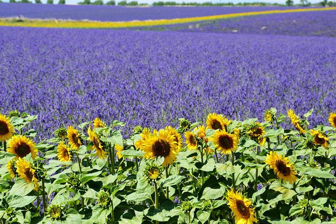 Gorges du Verdon Shared Tour from Nice - Stop 2: Moustiers-Sainte-Marie, Faience, and Amphitheater Views