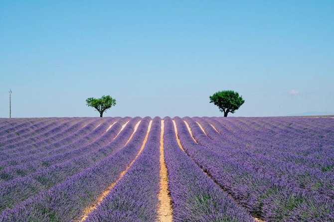 GUIDED TOUR: Lavender fields, the Gorges du Verdon - Why the Nice to Verdon Route Feels Like Two Trips in One