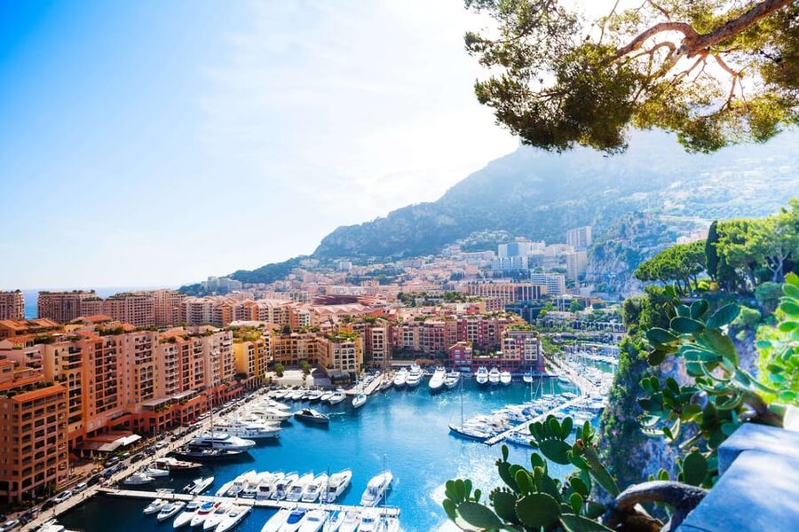 Half Day Trip from Nice to Monaco MC with Guided Walk - La Condamine Market Stop: Local Food Culture Over Millionaire Fantasy