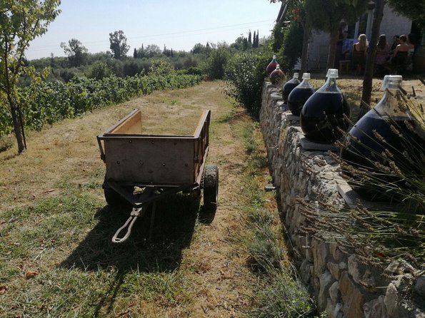 Half-Day Wine Tasting and Saint Paul de Vence Tour from Nice - Key things to know before you go