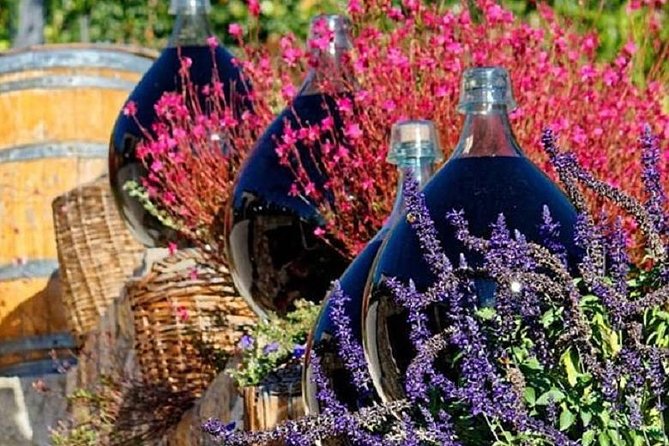 Half-Day Wine Tasting and Saint Paul de Vence Tour from Nice - Who this tour suits best