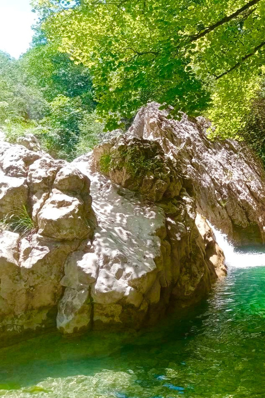 Mountain Train Experience: Hike & Mystic Forest (From Nice) - Key things I’d circle before you go