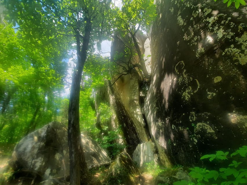 Mountain Train Experience: Hike & Mystic Forest (From Nice) - The ride to Annot: quick train transfer to shift the scenery