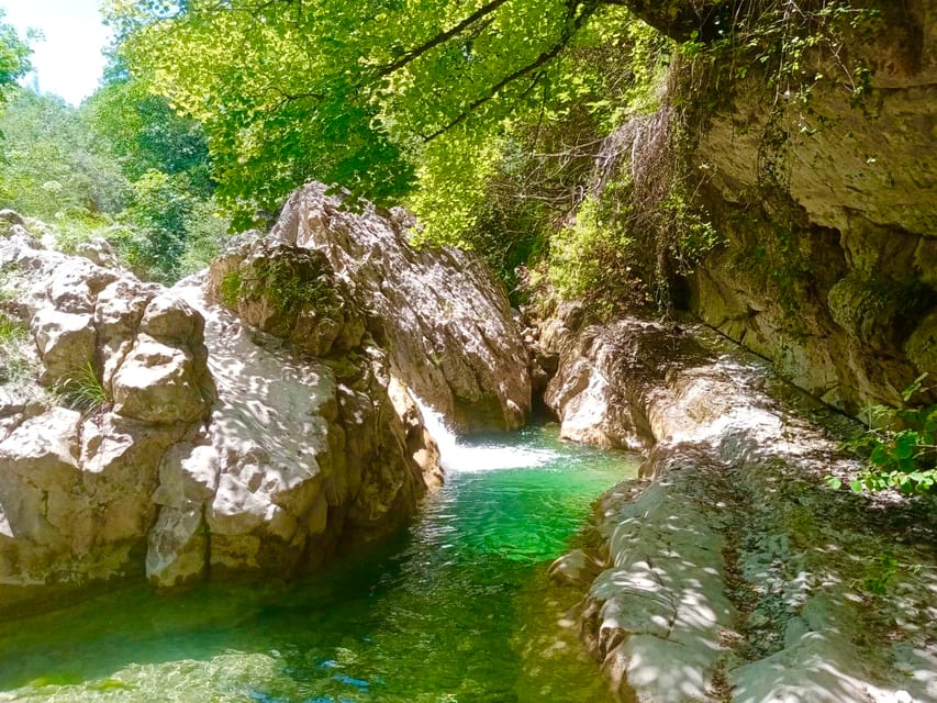 Mountain Train Experience: Hike & Mystic Forest (From Nice) - Meeting at Gare des Chemins de fer de Provence, and why being early helps