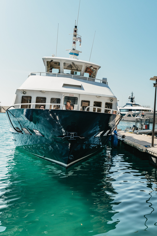 Nice: 1-Hour Sightseeing Cruise to Villefranche Bay - Nice to Villefranche Bay, the big-picture idea