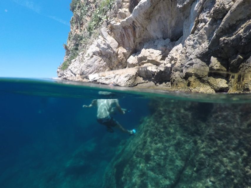Nice: 1h30 nautical excursion to Cap Ferrat - Key highlights worth planning around