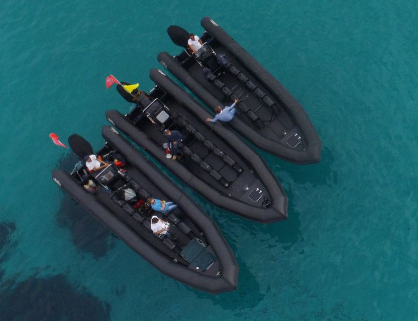 Nice: 1h30 nautical excursion to Cap Ferrat - Price and value: about $63 for 1.5 hours with water access