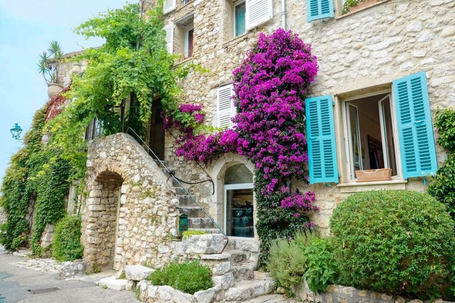 Nice: Cannes, Antibes & St Paul de Vence Half-Day Tour - Languages, group size, and how the guide experience changes your day