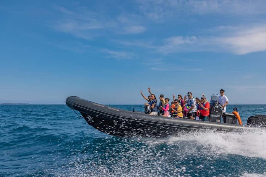 Nice: Coastline Boat Cruise to Monaco - Price and value at about $85 per person