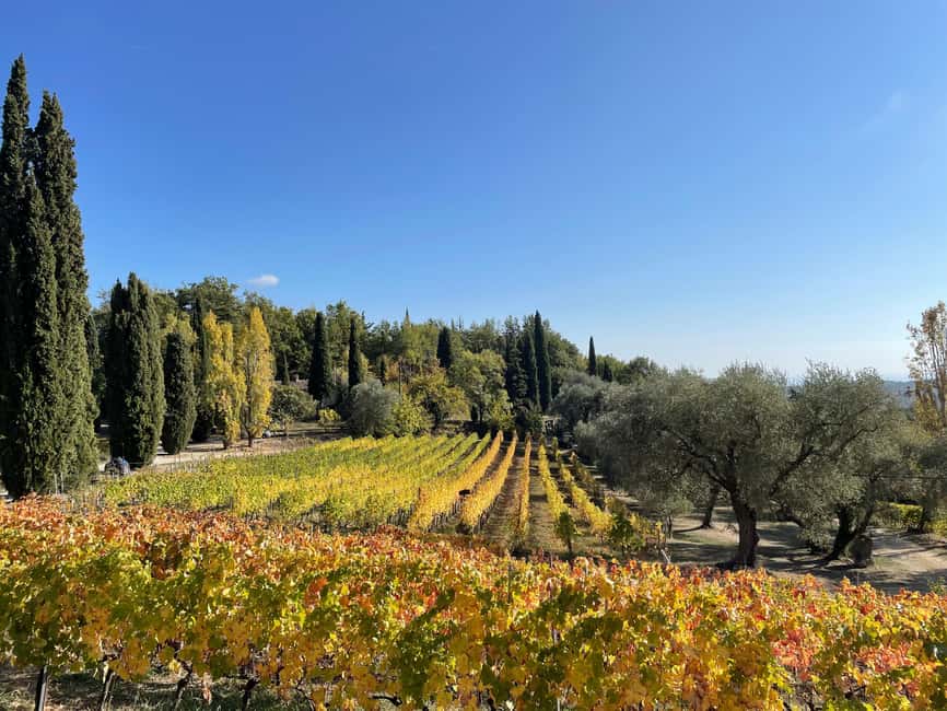 Nice: Full-Day Côtes de Provence Wine Tour - Nice to Provence, without the stress