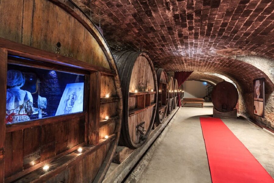 Nice: Full-Day Côtes de Provence Wine Tour - Three wineries, one clear Côtes de Provence tasting story