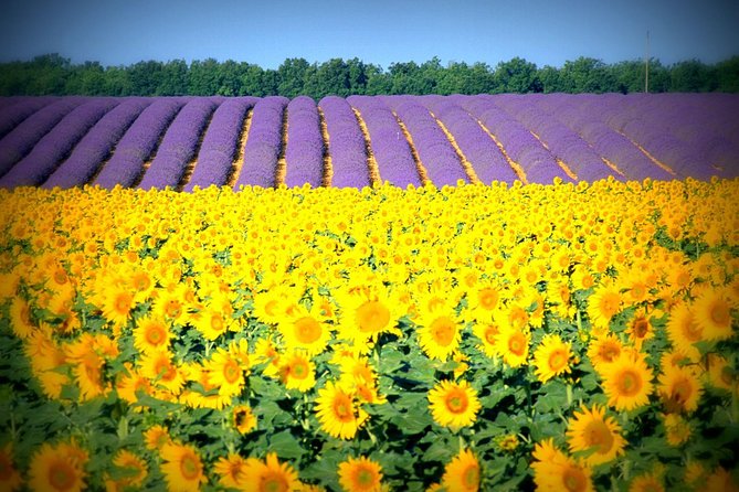 Nice: Gorges of Verdon and Fields of Lavender Tour - Entering Moustiers-Sainte-Marie: ceramics, terraces, and cliffside charm