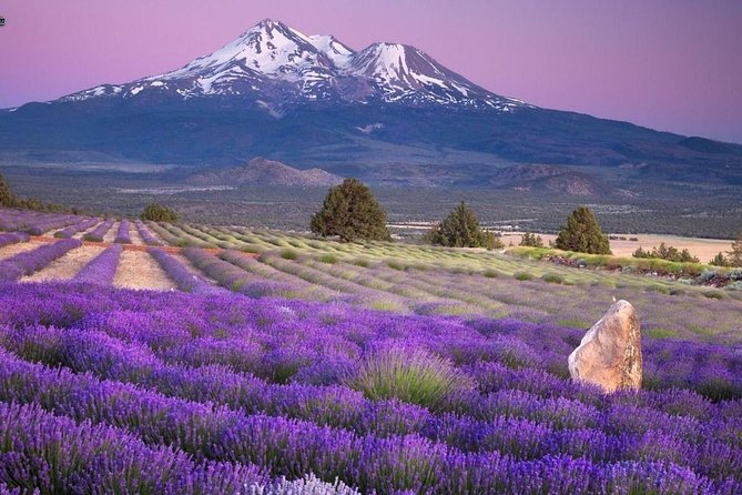 Nice: Gorges of Verdon and Fields of Lavender Tour - Lake St. Croix: when the day turns from canyon to calm water