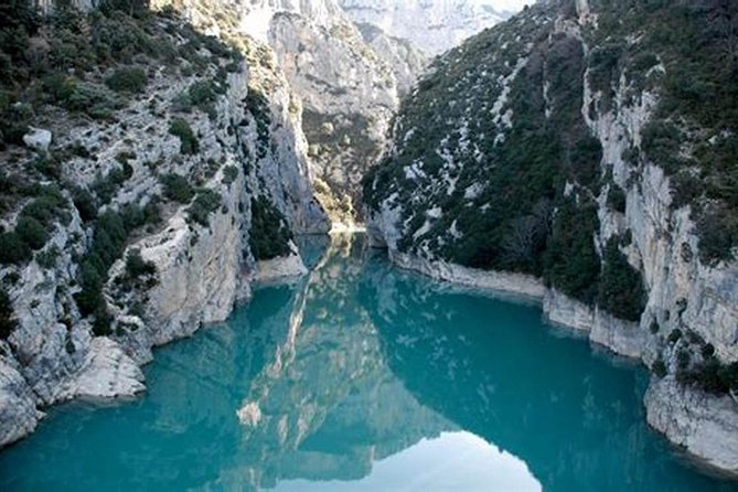 Nice: Gorges of Verdon and Fields of Lavender Tour - Lavender fields near the Alps: how to get the most out of seasonal bloom